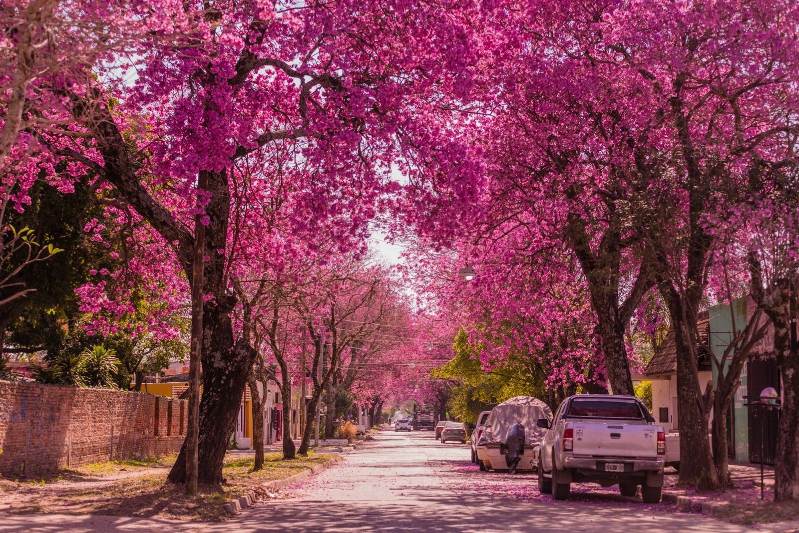 Disapositiva Conocé Esquina (22)